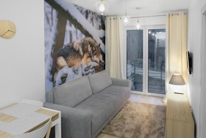 Apartament Szary Wilk