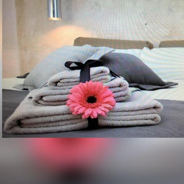 OLYMPUS PARK amnesia