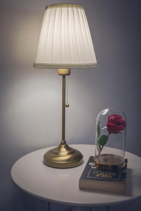 Da Alessia Per Dormire Al Coppedé