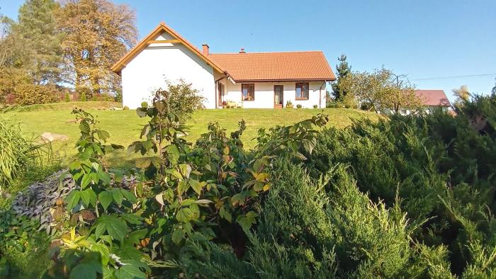 Dom na pagórku pod lipą
