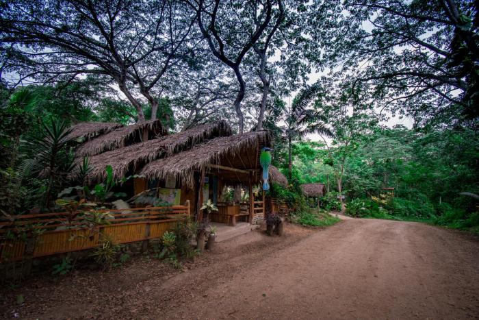Río Muchacho Organic Farm