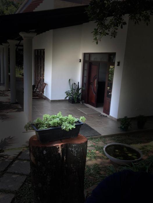 Kandyan Lounge