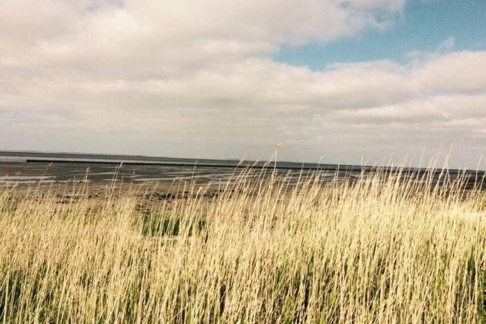 Ferienwohnung Nr. 2 - Düne