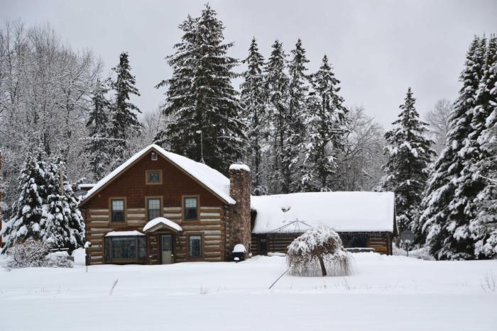 Soak, Relax and Explore! Log Cabin on the Wolf River