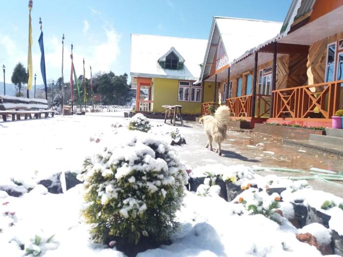 Royal Barsey - Okhrey