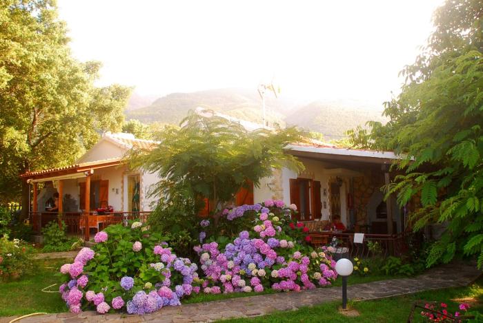 Alekas Studios