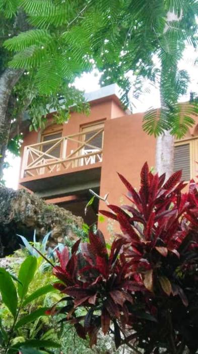 Welcoming House in Las Galeras with Stunning Sea View