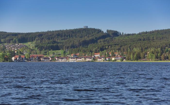 Lipno Lake Apartment