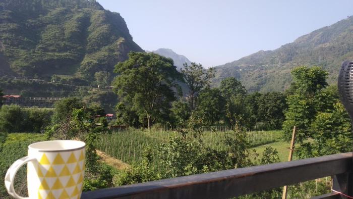 Yellow Valley Homestay