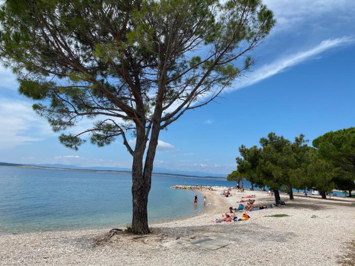 Family Apartments Vesna- 100 m Beach -Center Crikvenica