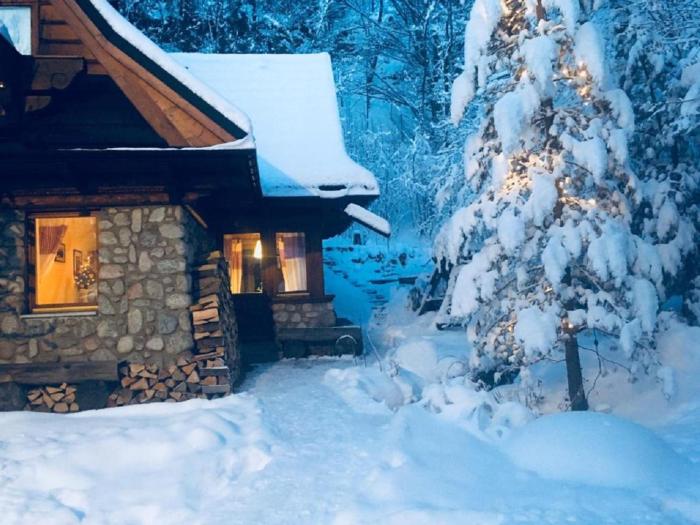 Apartament Jaworzyna