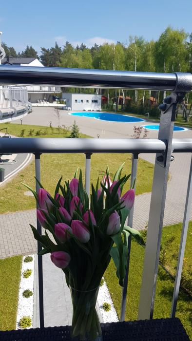 Romantyczny Apartament Happy 16 - basen, kort tenisowy dla maksymalnie 6 osób