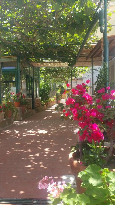 Villa dei fiori B&B