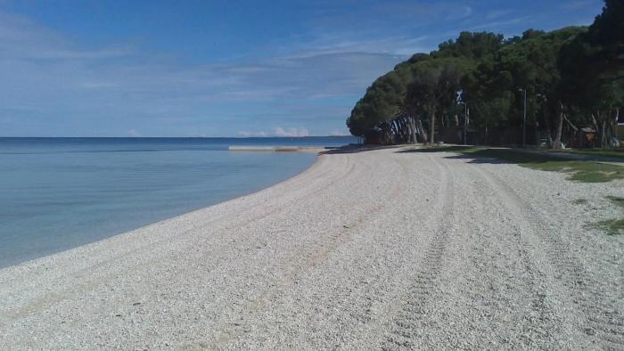 Apartman Karlo