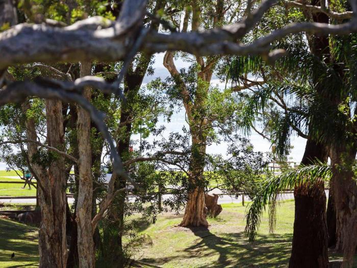 Bay Parklands, 34 2 Gowrie Avenue - Air con, Wifi, Views, Pool, Spa & Tennis Court