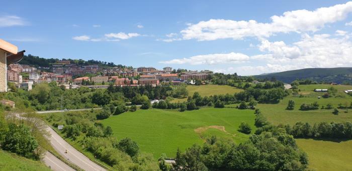 Apartamentos La Panerona