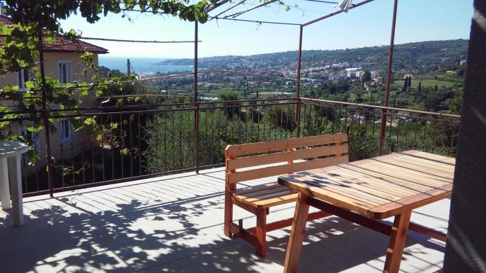 Apartma med oljkami Spodnji