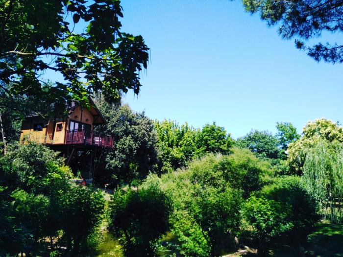 Casa sullAlbero Awen del Casale LaBandita