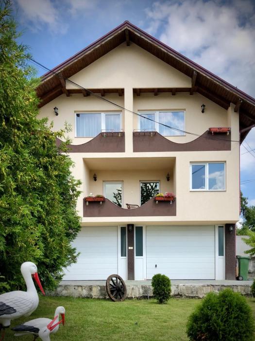 Casa Paunescu