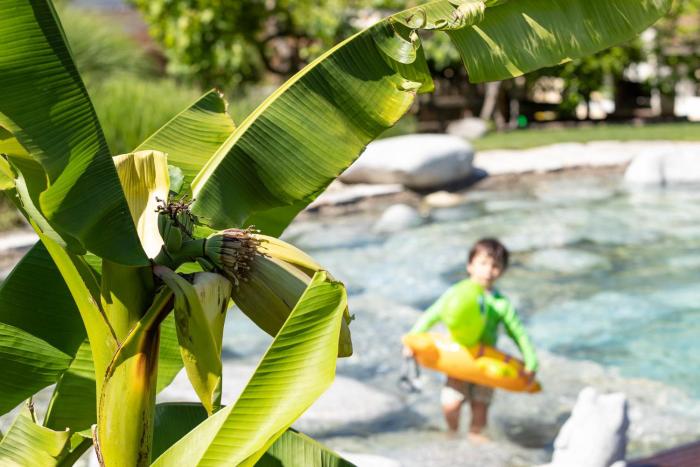 Kreuzwegerhof Nals - Historic Nature Stay with Pool near Meran & Bozen