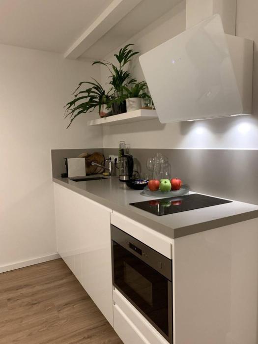 Designer Loft Apartment in Delft city new 38B