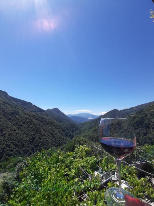 B&B La Locanda del Cinghiale