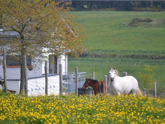 GÎTES LES HAUTS DE TOULVERN
