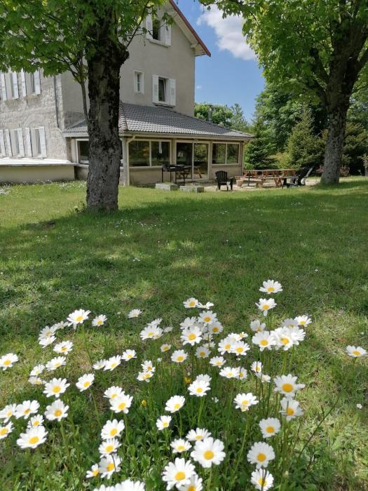 Maison La Vigne - Gîtes et Chambres dhôtes