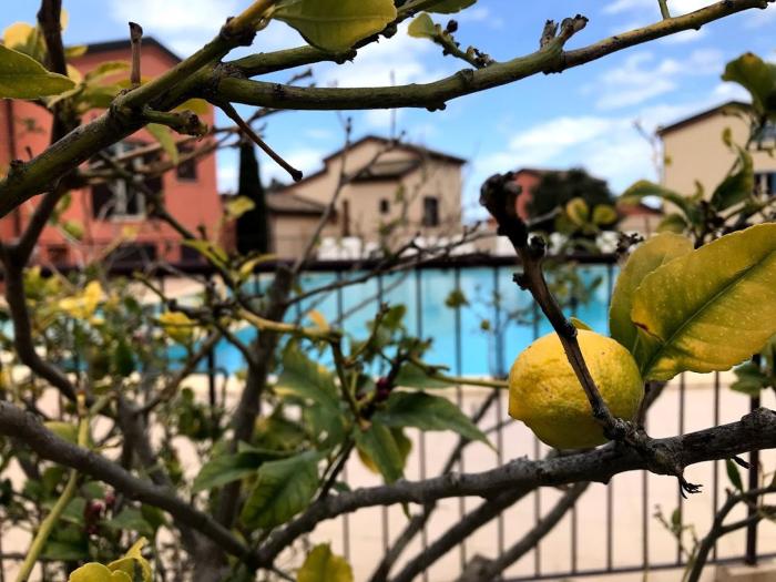 Appartement Dolce Farniente Corse Lozari