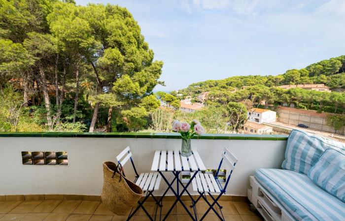 Vela Blanca SA RIERA Ref 351