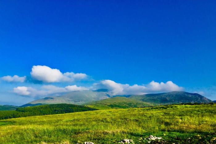 Tollymore Luxury Log Cabin