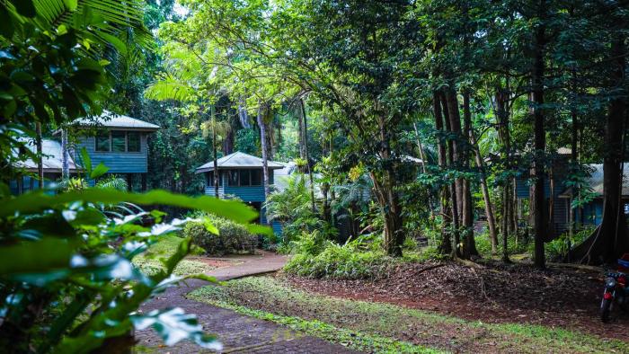 Ferntree Rainforest Lodge