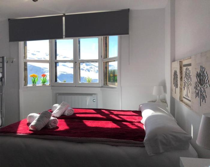 IMEDA Estudios LOS VALLES CON PARKING