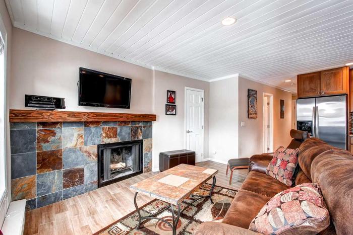 Panorama Alpine Condo: Hip Downtown Location
