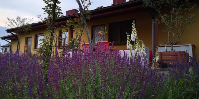 Pszczeli Ogród - agroturystyka z jacuzzi