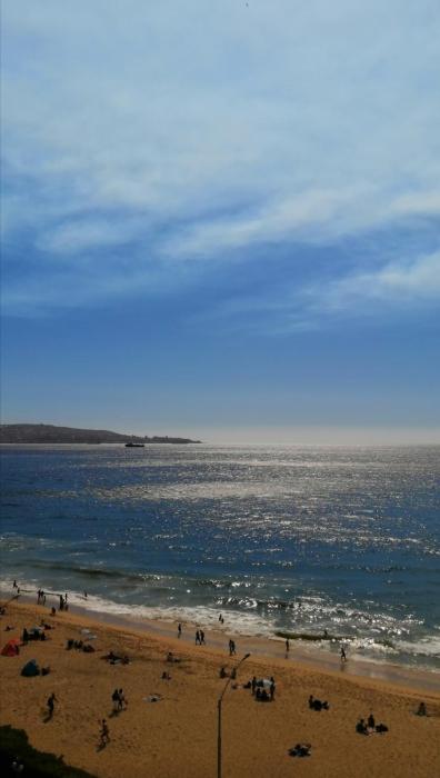 Departamento en viña del mar frente a la playa