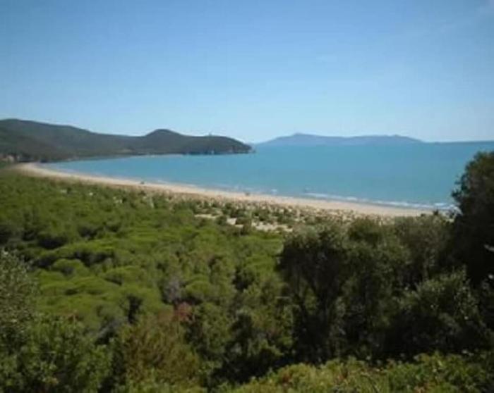 Near the sea flat with terrace in lovely village