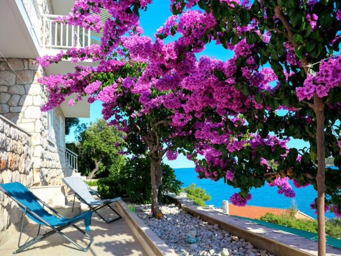 Apartment Martina-1 by Interhome