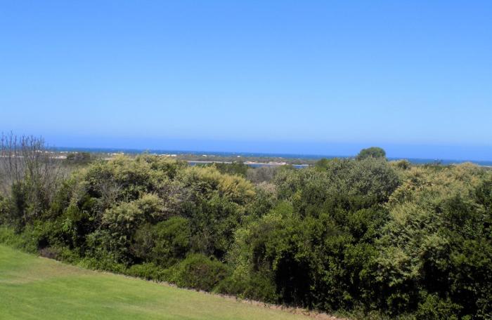 X3 on Goose with Sea View