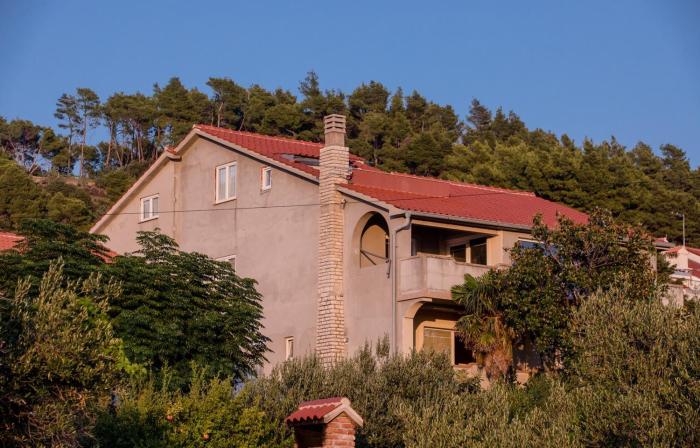 Apartments Vladimir Palit