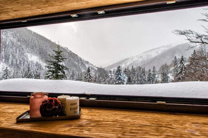 Apartments Srdiecko - JASNA South, FOREST View, SAUNA in One Apt FIREPLACE in Both