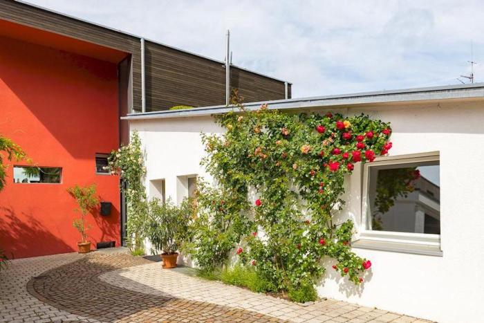 Ferienwohnung Rosenrot