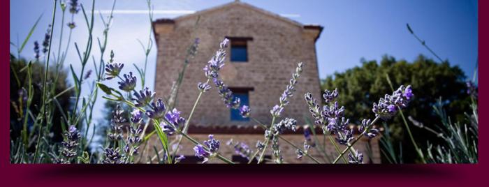 LAlboreto Salvatico Homestay