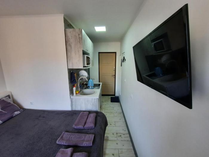 Подобово міні-студія метро Дорогожичі Київ