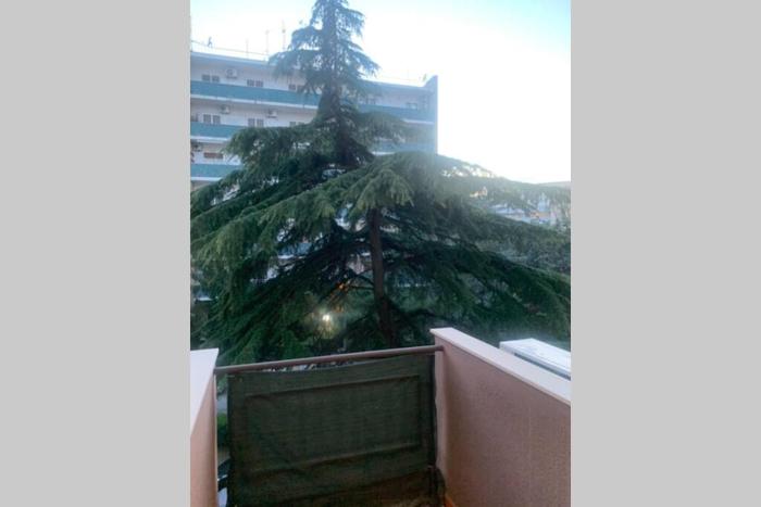 Residenza Giovanni Paolo Secondo- Casa sull’albero