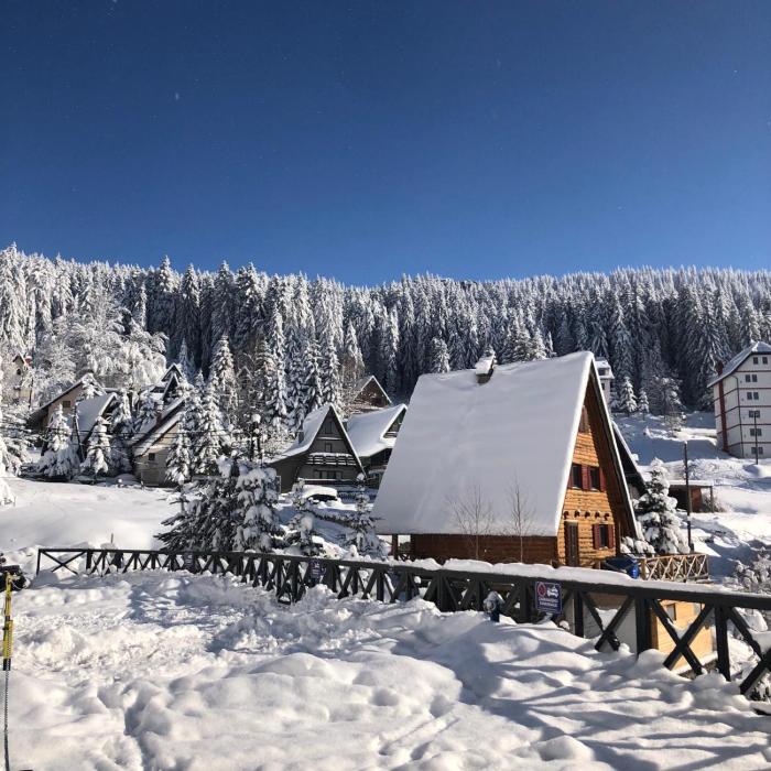 Vila Irina - Apartman Miloš