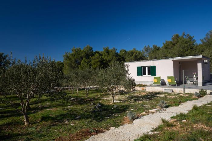 Olive Eden Holiday Home