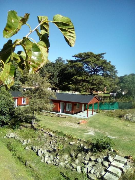 Cabañas los Plátanos