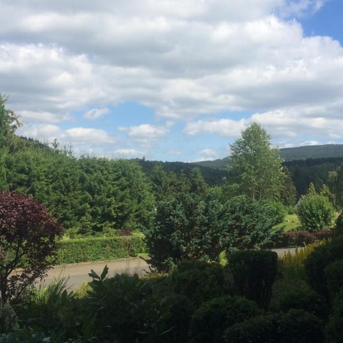 Eulennestchen-Harz Fewo S1 oder L2 Für Single, Paar oder Familie & Hund Oberharz