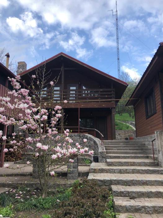 Будинок для відпочинку в лісі